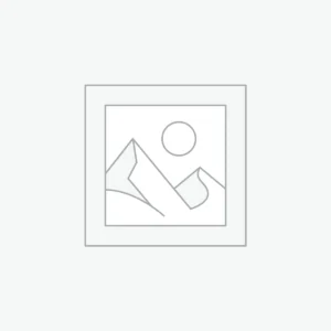 Classic Cheeseburger